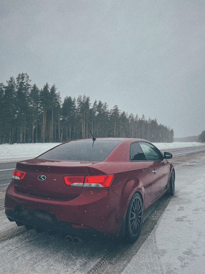 Kia Cerato: фото владельца