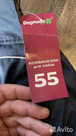 Дождевик для крупной собаки