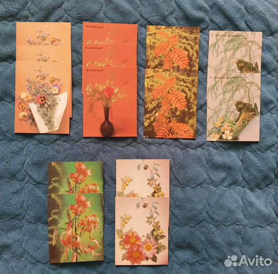 Календарики цветы