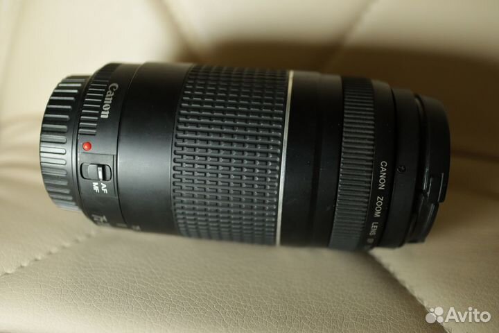 Canon EF 70-300 mm F/ 1:4-5,6 L IS USM