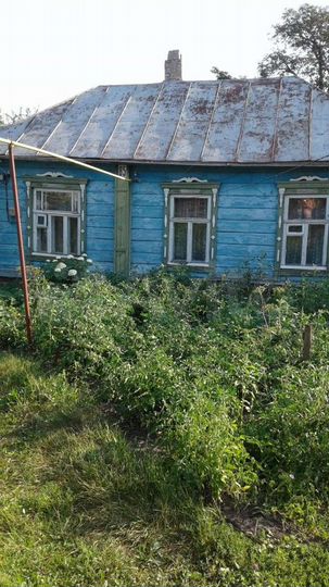 Дом 25 м² на участке 12 сот.