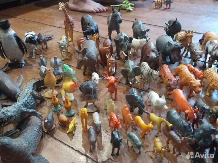 Животные домашние дикие