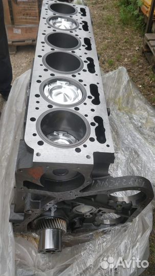 Short block на двигатель Cummins NTA855