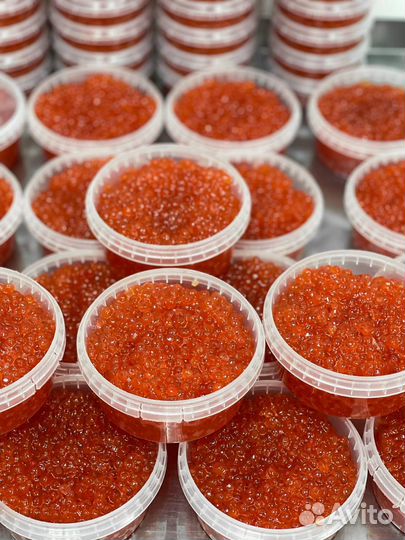 Икра Кижуча 2023г