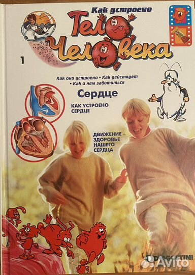 Книги как устроено тело человека