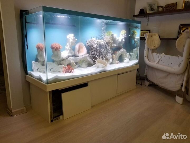 Аквариум - чистка, ремонт, переезд, изготовление