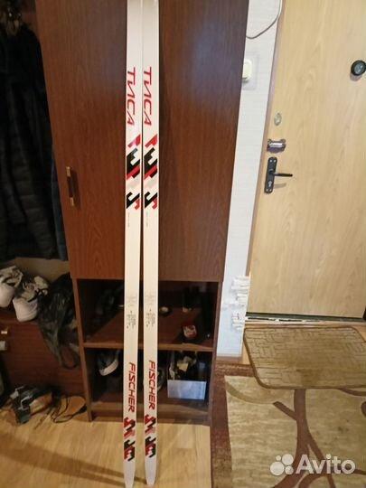 Лыжи тиса фишер