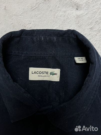 Вильветавая Рубашка Lacoste Оригинал