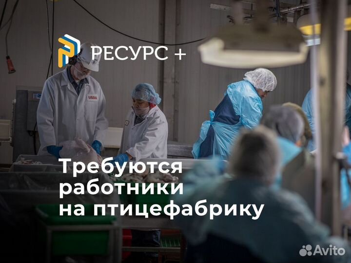 Укладчик-упаковщик/ца (Подработка)