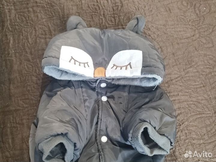 Комбинезон для собак (фр.бульдог)