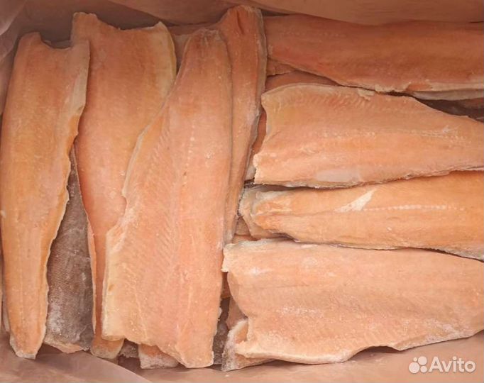 Филе форели пласт (не солёное, с/м). Оптом