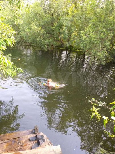 Участок 3 га (СНТ, ДНП)