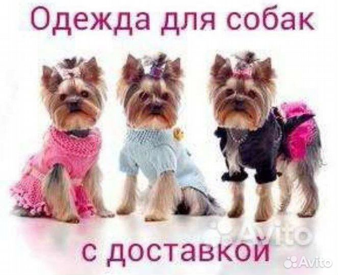 Одежда для собак и кошек с доставкой