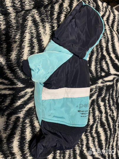 Зимний костюм для собак