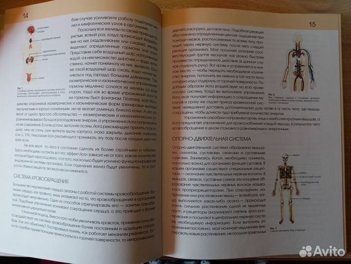 Йога. Полная энциклопедия