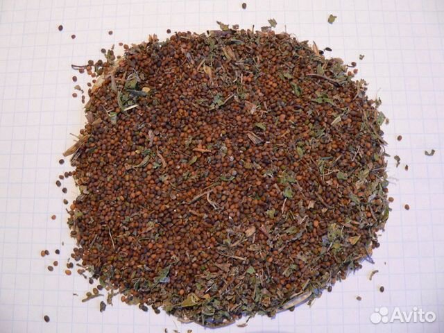 Семена Руколы итальянские для выращивания в саду