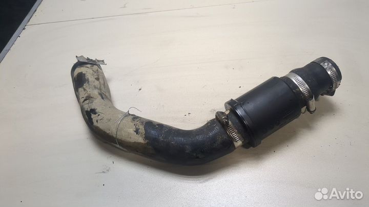 Патрубок интеркулера Ford Transit 2014