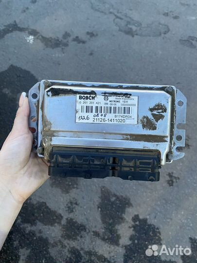 Мозги на приору