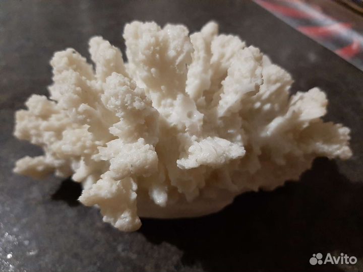 Коралл для интерьера искусственный