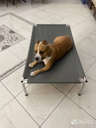 Лежанка для собак