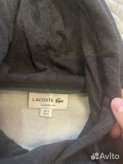 Толстовка lacoste мужская