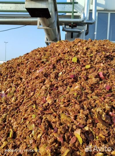 Жом яблочный - выжимки фруктовые и ягодные