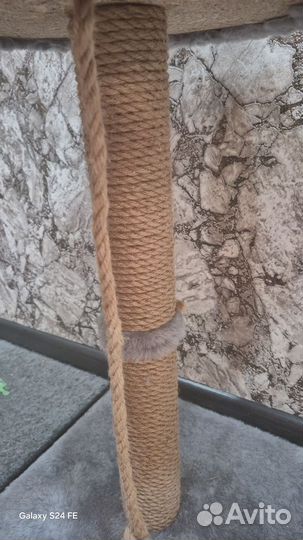 Когтеточка