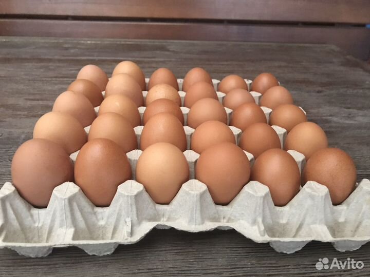 Яйцо куриное