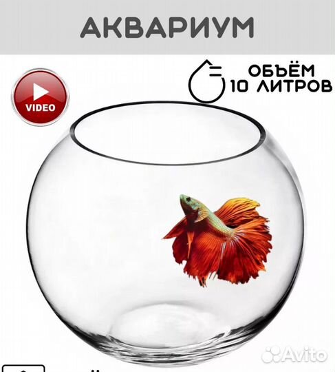 Аквариум для рыбок шар 10 л