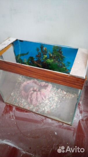 Морской аквариум