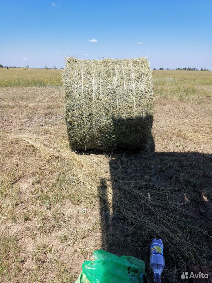 Продам сено в рулонах