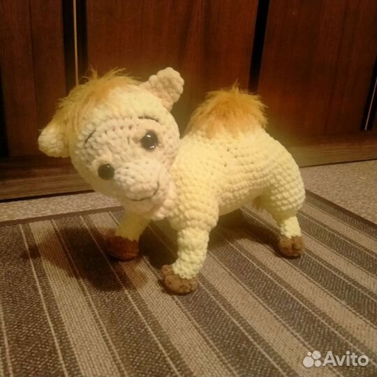 Верблюжонок Боря