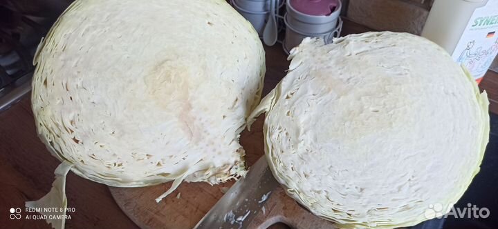 Капуста белокочанная для квашения