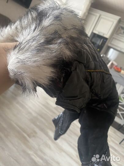 Куртка для собак