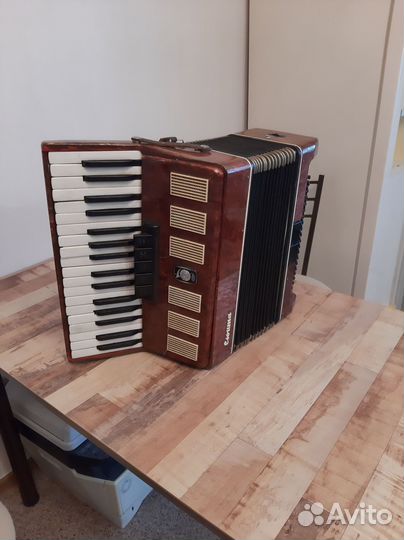 Баяны в ассортименте