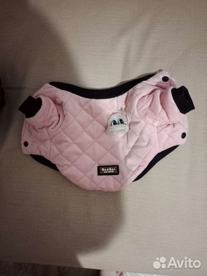 Одежда для собак мелких пород бу
