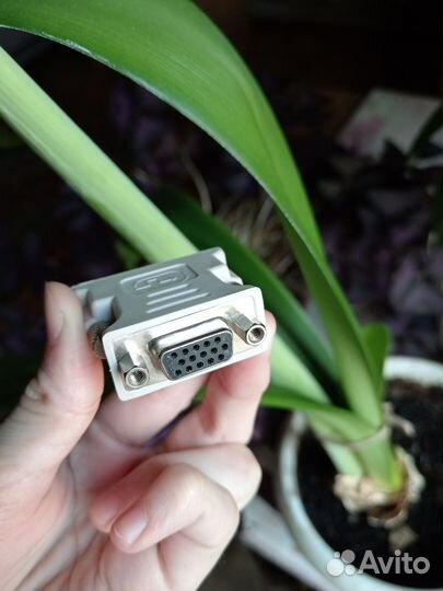 Переходник/адаптер Buro DVI-I (m) - VGA
