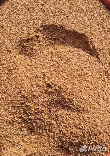 Скорлупа кедровая