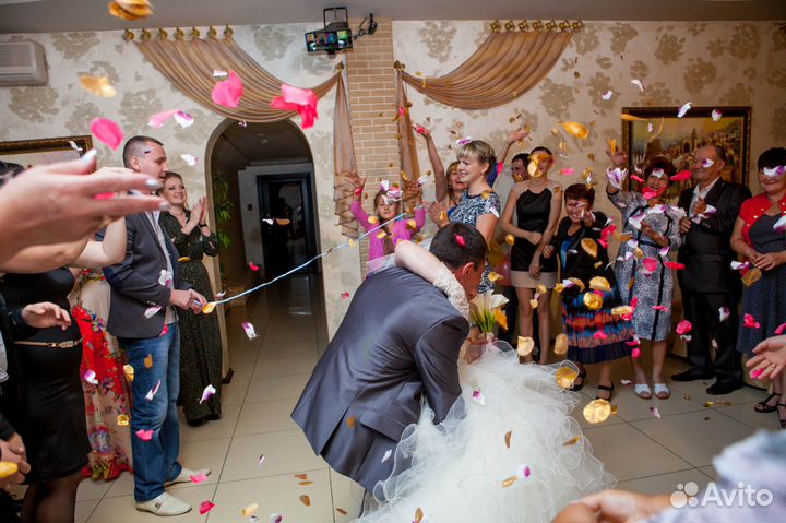 Ведущая на ваш праздник