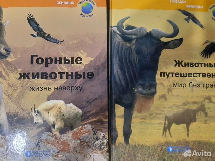 Книги энциклопедия