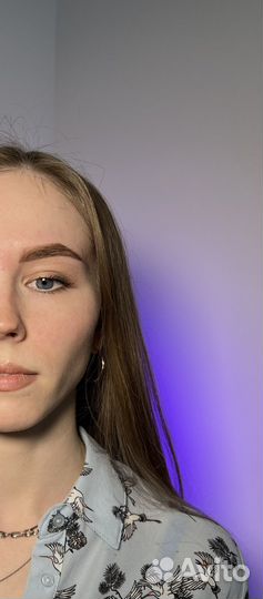 Мастер бровист