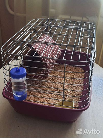 Клетка для грызунов