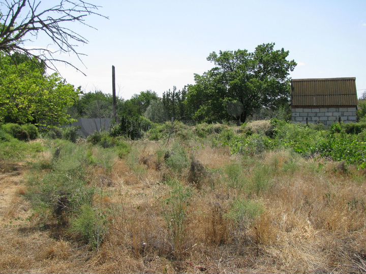 Участок 6 сот. (ИЖС)