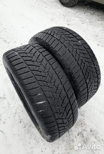 Dunlop Winter Sport 5 255/55 R19