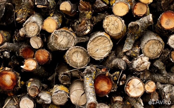 Дрова в тот же день