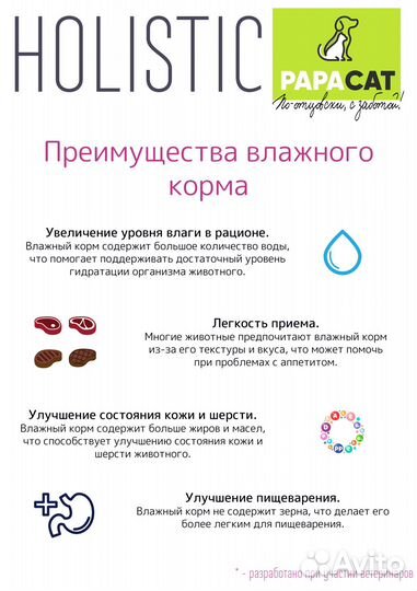 Корм для кошек Holistic PapaCat Нежная курочка