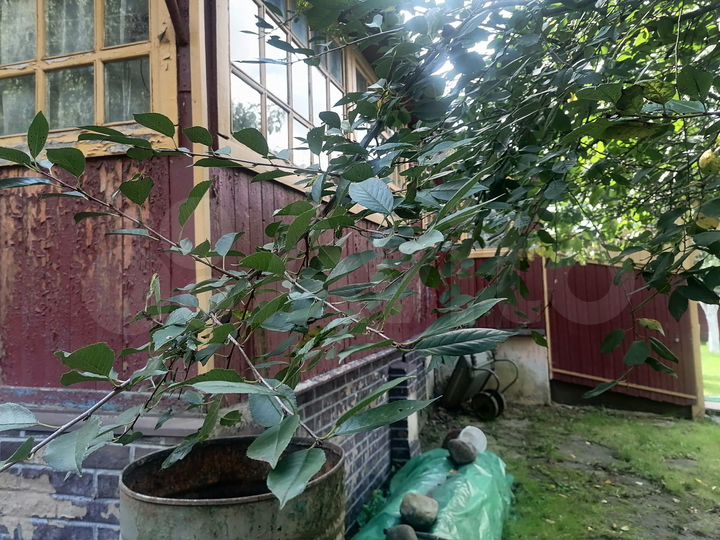 Дом 60 м² на участке 7 сот.