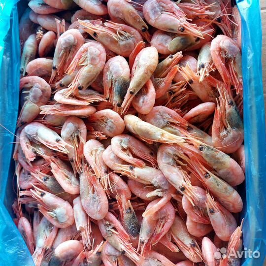 Морские деликатесы креветки, лангустины в наличии