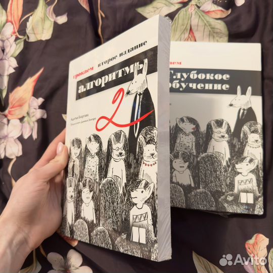 Набор книг Грокаем алгоритмы 2 и глубокое обучение