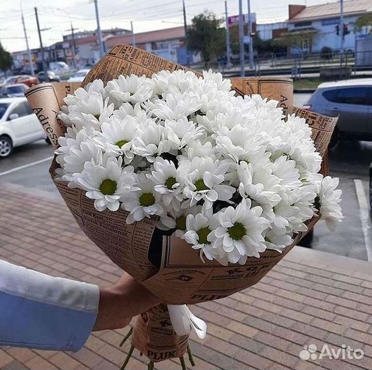 Хризантема Доставка цветов Букеты